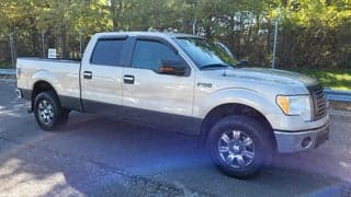 Ford 2010 F-150