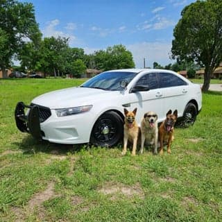 Ford 2016 Taurus