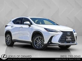 Lexus 2024 NX 350